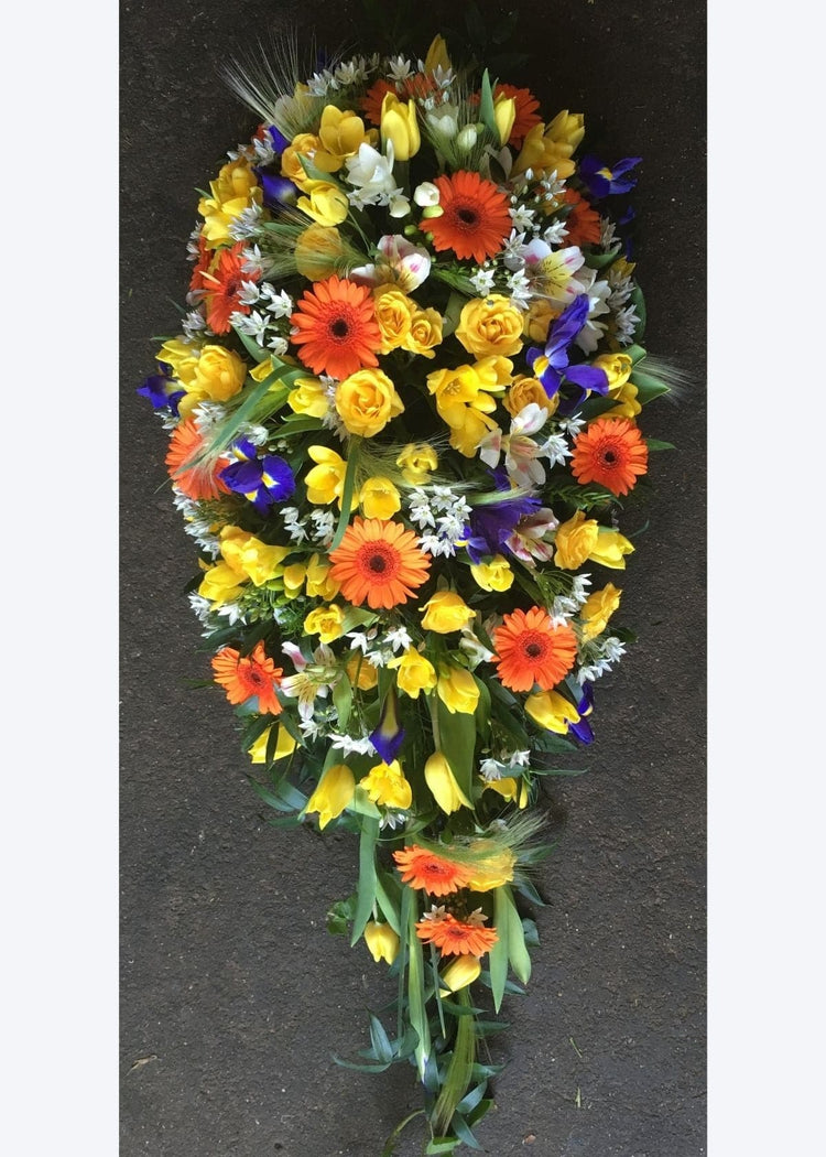 This cheerful, single ended spray funeral casket spray is full of Spring flowers including Narcissi, Tulips, Irises and Genista as well as flowers available all year round like the Germinis and Solidago.
