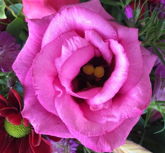 Garnet Flower Basket - Make Their Day Florist