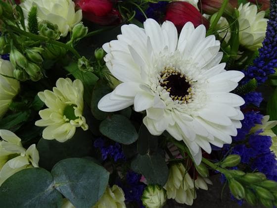 Woodpecker Flower Basket Arrangement ideal for birthdays or anniversaries. An oval basket, filled with blue, lemon and dark red flowers including Gerberas, Statice, Alstroemeria, spray Carnations and Chrysanthemums and seasonal flowers and foliage.