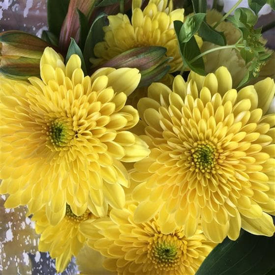 This fresh, zesty bouquet beautifully combines yellow and white flowers to make a simple and stylish gift. It includes a white Lily, Carnations, Chrysanthemums, with seasonal flowers. This is a fabulous floral gift for any special occasion.