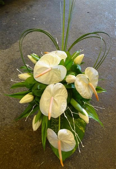This modern, sophisticated teardrop shaped funeral floral tribute is an elegant and the perfect final gift. The casket spray is made with white Anthuriums and seasonal flowers.