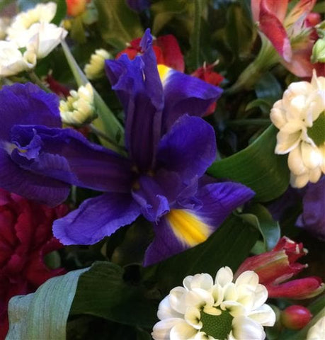 The Purple, Red & White Funeral Wreath is filled with colourful blooms, perfect tribute for a man or a woman.