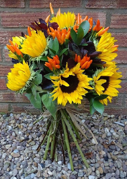 Jumping Jack. This Sunflower Hand Tied Bouquet has been finished off with orange Chilli Peppers. If the Chilli Peppers are not available, then we will substitute with an alternative seasonal flower. A gorgeous arrangement for all occasions.