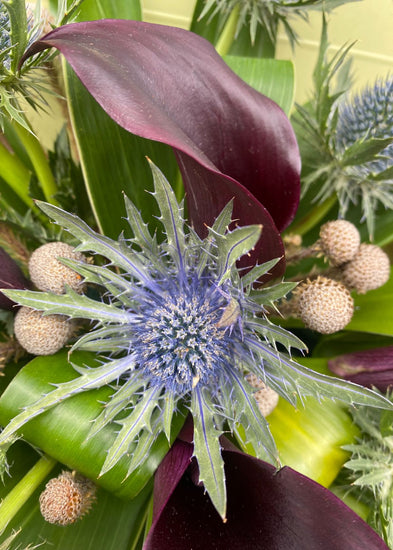 This modern foliage bouquet for men by Make Their Day Florist is unique, stands apart from the crowd, the perfect long lasting gift, bursting with texture, sumptuous greenery and pops of colour.