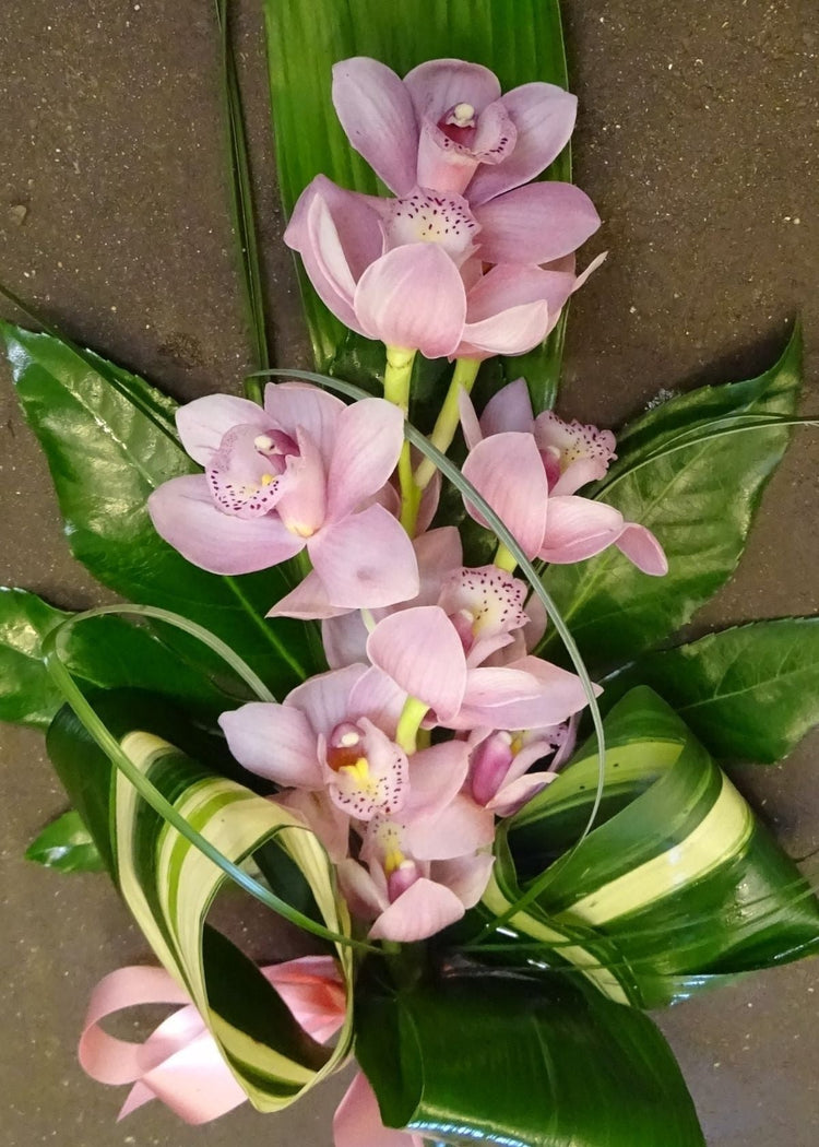 This modern funeral sheaf is the perfect tribute, its elegant and sophisticated yet simple. This stunning tribute can be made from a wide selection of Cymbidium Orchid colours; orange, yellow, green, pale and dark pink or white to make a lovely choice for any age lady or gentleman.