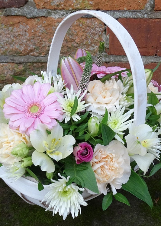 Roman Candle Flower Basket. This pastel arrangement is made up of a Veronicas, pink Lisianthus, Chrysanthemums, Alstroemeria and seasonal flowers and foliage.  The flowers are presented in a white basket. This makes an excellent gift as it is a ready made arrangement are in floral foam which is easy to care for.