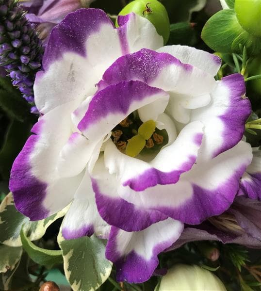 Amethyst Floral Gift Bag Arrangement - Make Their Day Florist