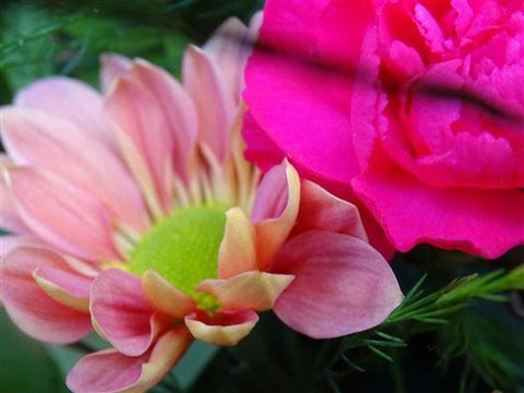 Beat Flower Basket - Make Their Day Florist