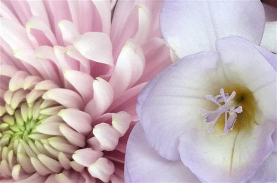 Hestia Flower Basket - Make Their Day Florist