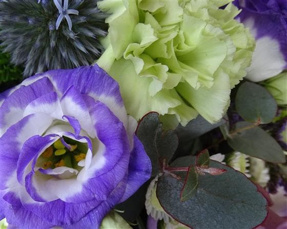 Jive Birthday Flower Basket - Make Their Day Florist