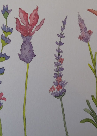 Lavender Blank Greetings Card - Make Their Day Florist