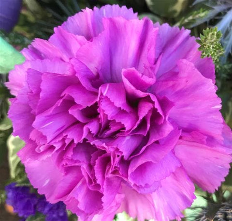 Lavender Floral Gift Bag Arrangement - Make Their Day Florist