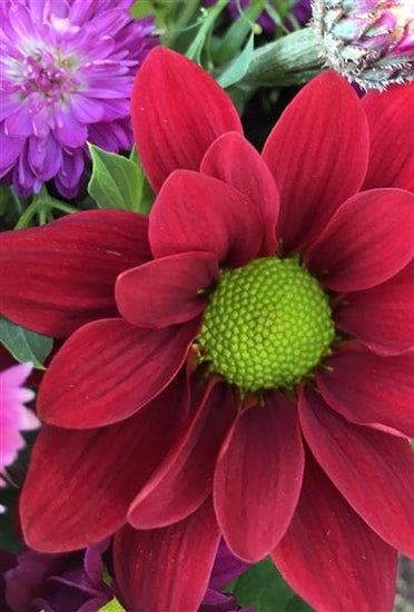 Little Red Riding Hood Flower Basket - Make Their Day Florist