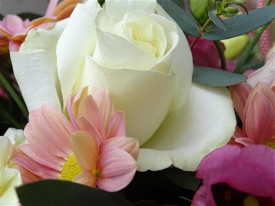 Lullaby Floral Bag Arrangement - Make Their Day Florist