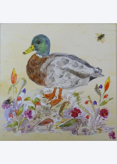 Mallard Duck Blank Greetings Card - Make Their Day Florist