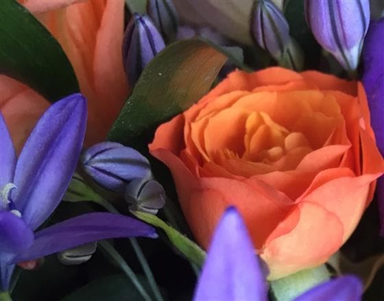 Orange & Purple Funeral Wreath - Make Their Day Florist