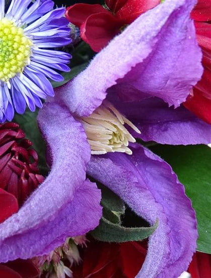 Paso Doble Birthday Flower Basket - Make Their Day Florist