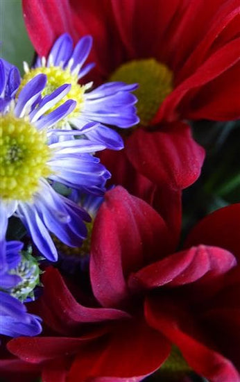 Paso Doble Birthday Flower Basket - Make Their Day Florist