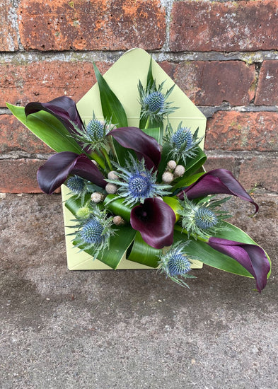 Ideal for the family man, ready to be enjoyed in the heart of the home the Make Their Day Florist deep plum Calla Lilies, bursting from the box demonstrating how you love him so much you could burst too.