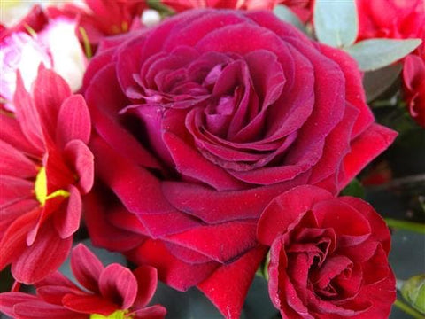 Red Bush Flower Basket - Make Their Day Florist