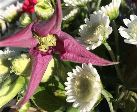 Rosy Flower Basket - Make Their Day Florist