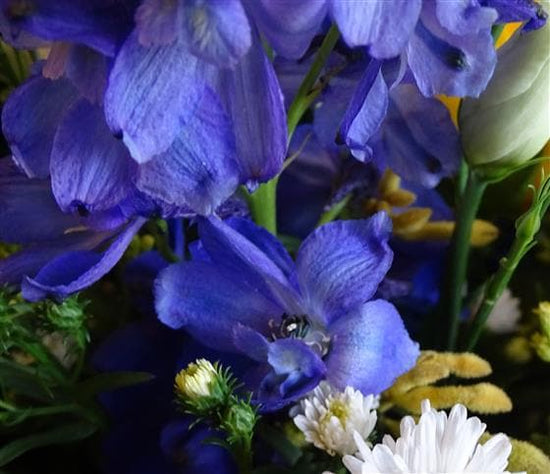 Royal Blue & Yellow Funeral Casket Spray - Make Their Day Florist