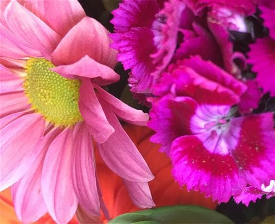 Rumba Birthday Flower Basket - Make Their Day Florist