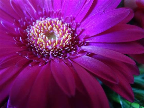 Spinel Flower Basket - Make Their Day Florist