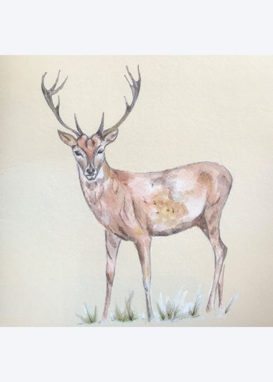 Stag Blank Greetings Card - Make Their Day Florist