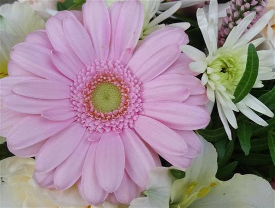 Waltz Birthday Flower Basket - Make Their Day Florist