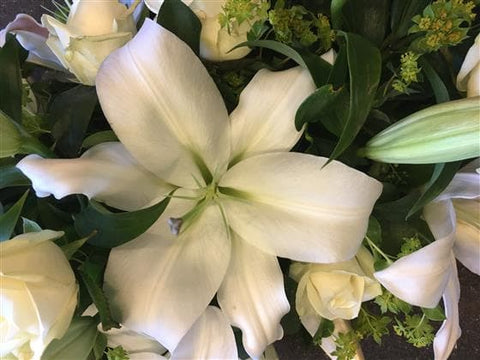 White Lily & Rose Funeral Casket Spray - Make Their Day Florist